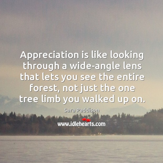 Appreciation is like looking through a wide-angle lens that lets you see the entire forest, not just the one tree limb you walked up on. Sara Paddison Picture Quote