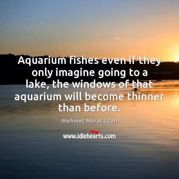Aquarium fishes even if they only imagine going to a lake, the Image
