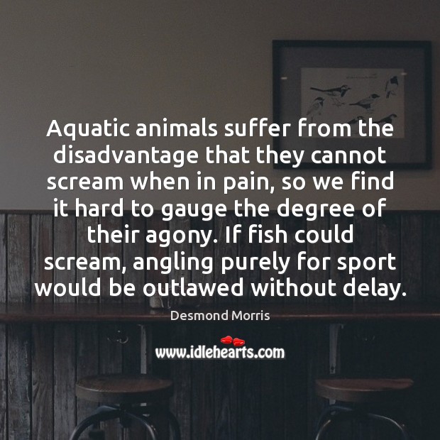 Aquatic animals suffer from the disadvantage that they cannot scream when in Desmond Morris Picture Quote