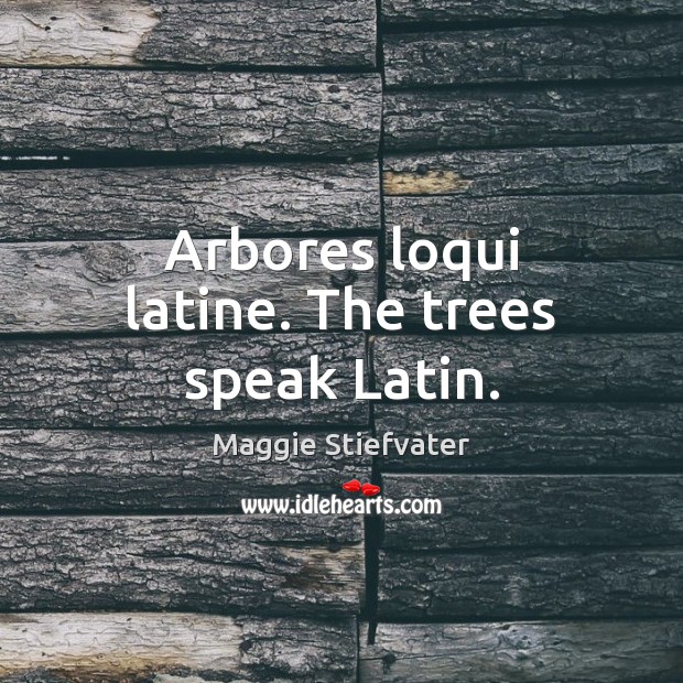 Arbores loqui latine. The trees speak Latin. Maggie Stiefvater Picture Quote