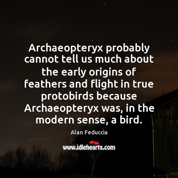 Archaeopteryx probably cannot tell us much about the early origins of feathers Alan Feduccia Picture Quote