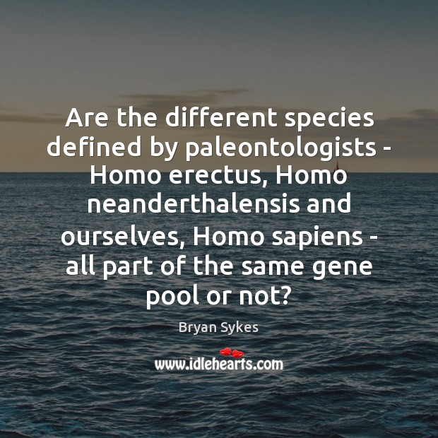 Are the different species defined by paleontologists – Homo erectus, Homo neanderthalensis Bryan Sykes Picture Quote