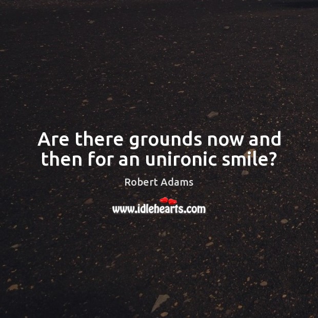 Are there grounds now and then for an unironic smile? Robert Adams Picture Quote