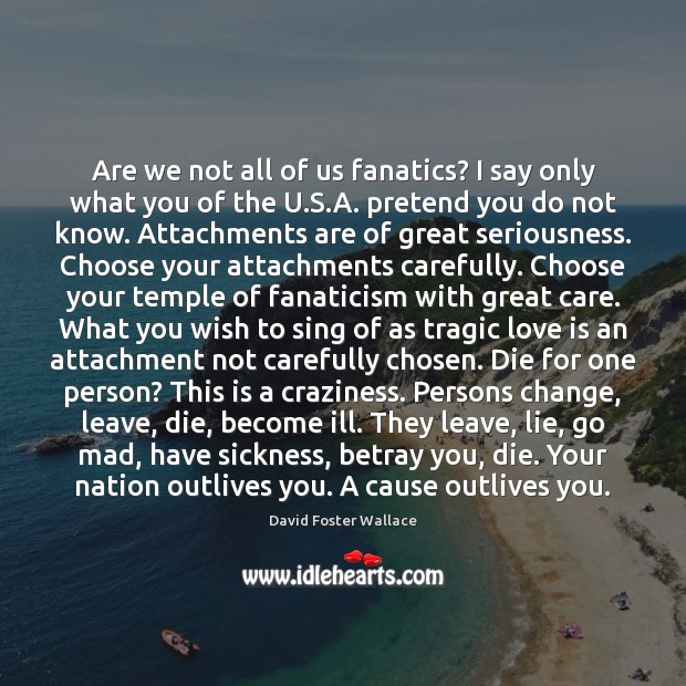Are we not all of us fanatics? I say only what you David Foster Wallace Picture Quote