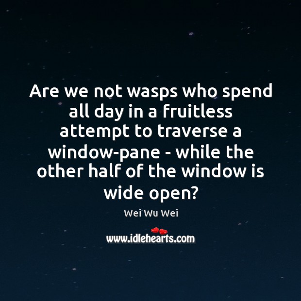 Are we not wasps who spend all day in a fruitless attempt Wei Wu Wei Picture Quote