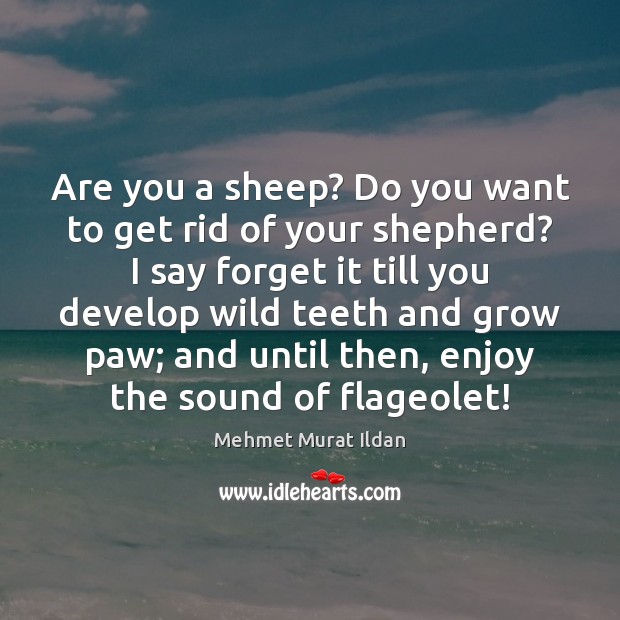 Are you a sheep? Do you want to get rid of your Image