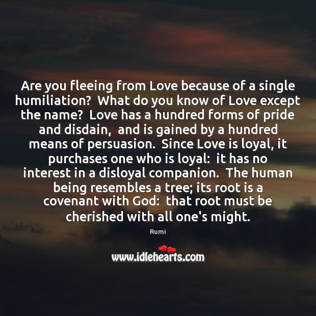 Are you fleeing from Love because of a single humiliation?  What do Image