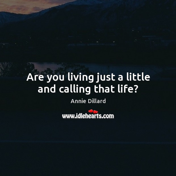 Are you living just a little and calling that life? Annie Dillard Picture Quote