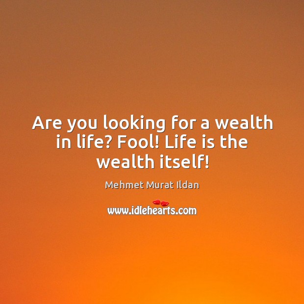 Are you looking for a wealth in life? Fool! Life is the wealth itself! Life Quotes Image