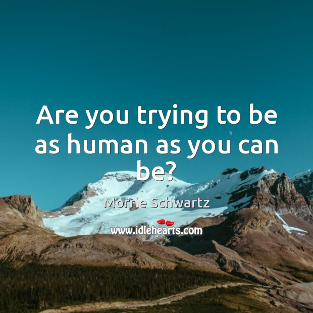 Are you trying to be as human as you can be? Morrie Schwartz Picture Quote