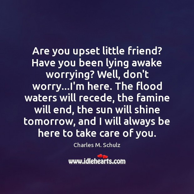 Are you upset little friend? Have you been lying awake worrying? Well, Charles M. Schulz Picture Quote