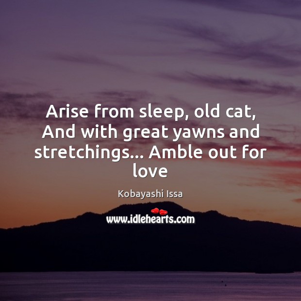 Arise from sleep, old cat, And with great yawns and stretchings… Amble out for love 