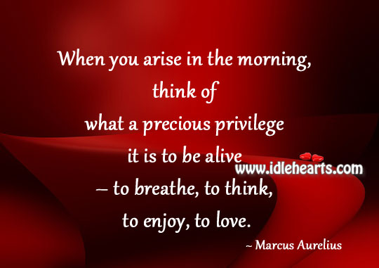 When you arise in the morning Marcus Aurelius Picture Quote