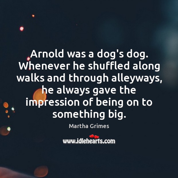 Arnold was a dog’s dog. Whenever he shuffled along walks and through Image