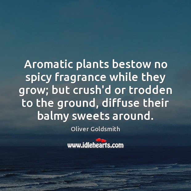 Aromatic plants bestow no spicy fragrance while they grow; but crush’d or Image
