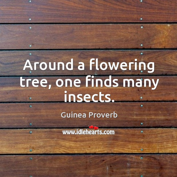 Guinea Proverbs