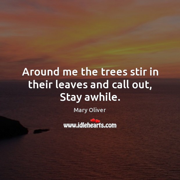 Around me the trees stir in their leaves and call out, Stay awhile. Mary Oliver Picture Quote