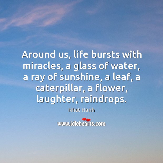 Around us, life bursts with miracles, a glass of water, a ray Nhat Hanh Picture Quote