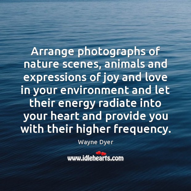 Arrange photographs of nature scenes, animals and expressions of joy and love Image