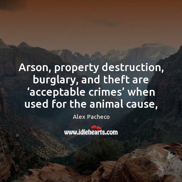 Arson, property destruction, burglary, and theft are ‘acceptable crimes’ when used for Image
