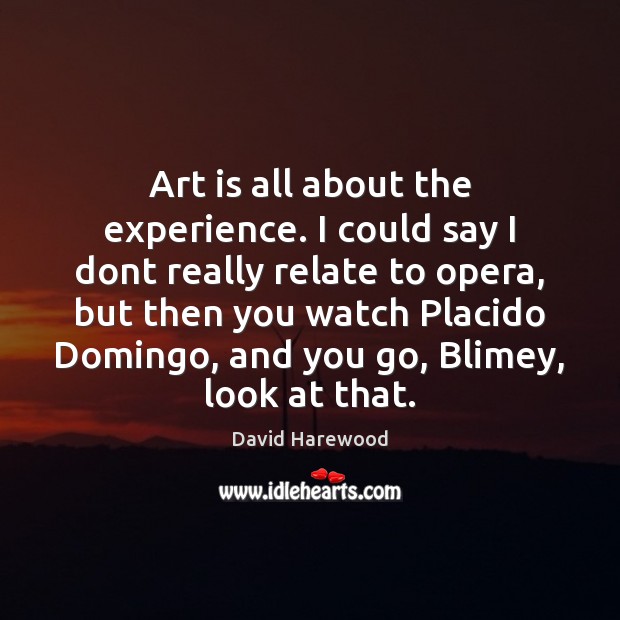 Art is all about the experience. I could say I dont really David Harewood Picture Quote