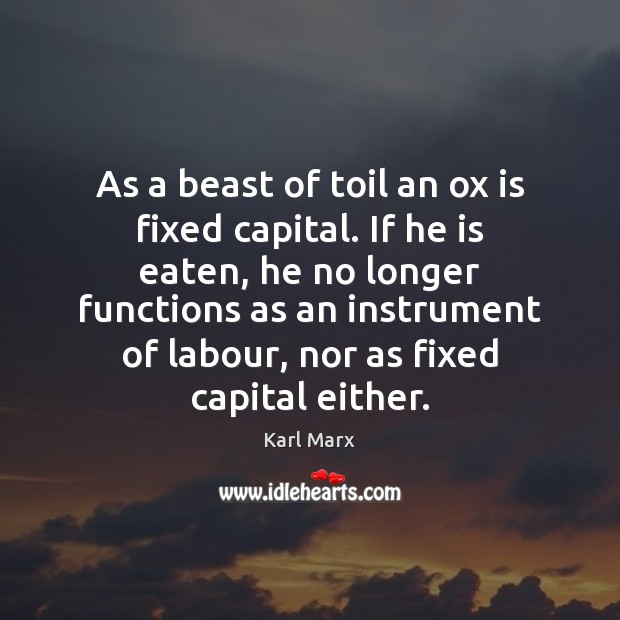 As a beast of toil an ox is fixed capital. If he Karl Marx Picture Quote