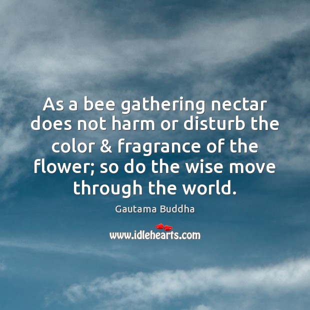 As a bee gathering nectar does not harm or disturb the color & Image