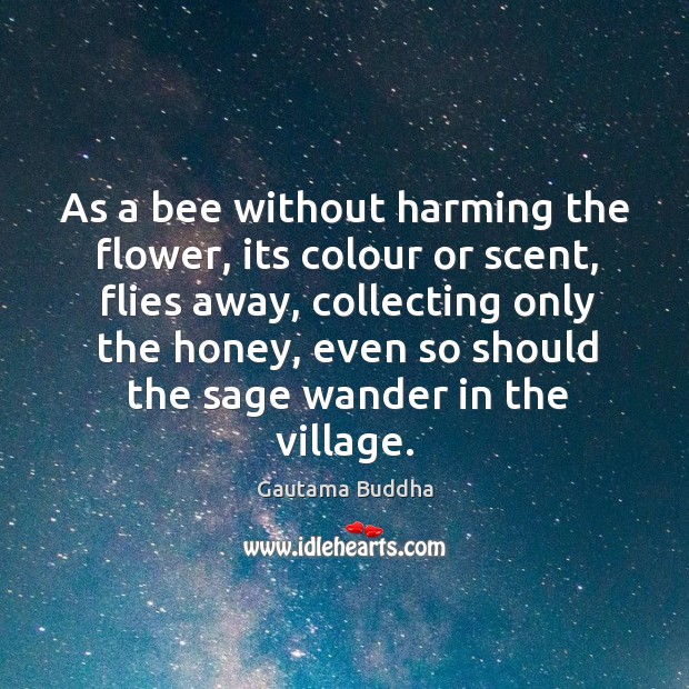 As a bee without harming the flower, its colour or scent, flies Image