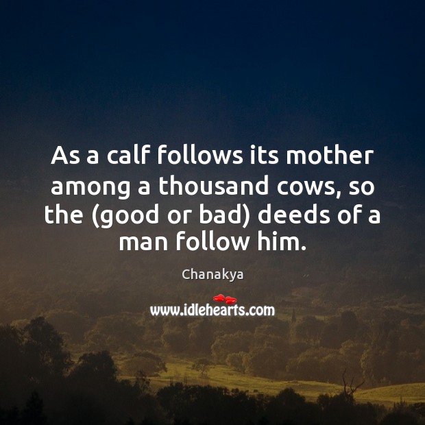 As a calf follows its mother among a thousand cows, so the ( 