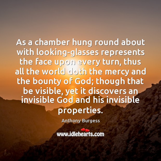 As a chamber hung round about with looking-glasses represents the face upon Image