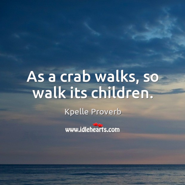 As a crab walks, so walk its children. Kpelle Proverbs Image