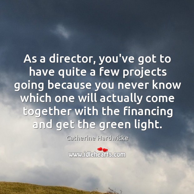 As a director, you’ve got to have quite a few projects going Catherine Hardwicke Picture Quote