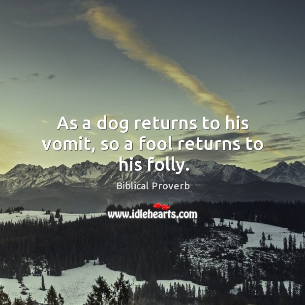 As a dog returns to his vomit, so a fool returns to his folly. Image