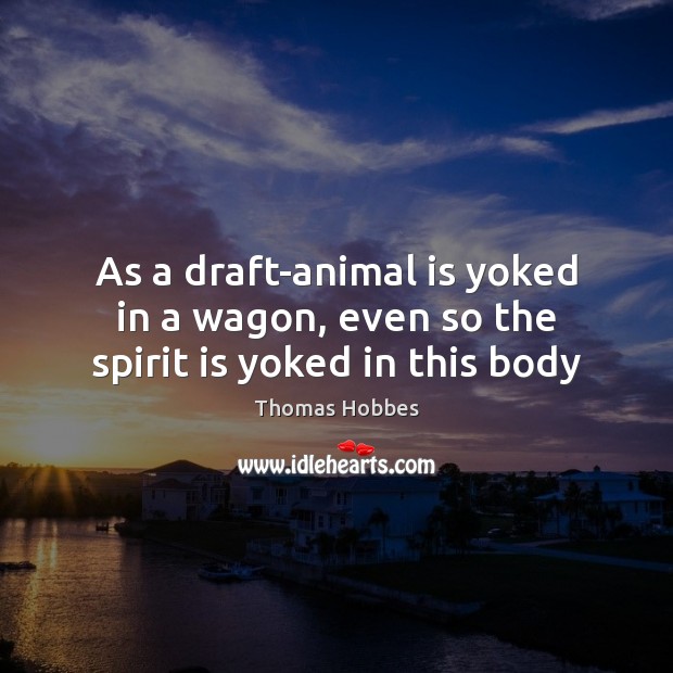 As a draft-animal is yoked in a wagon, even so the spirit is yoked in this body Thomas Hobbes Picture Quote