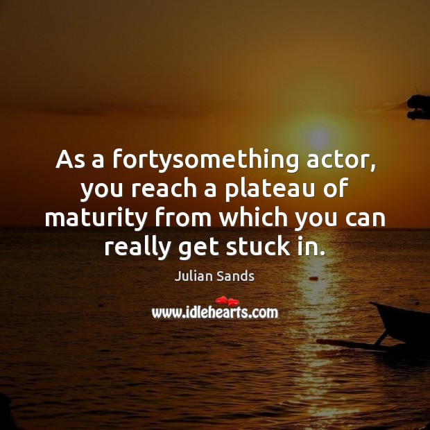 As a fortysomething actor, you reach a plateau of maturity from which Julian Sands Picture Quote
