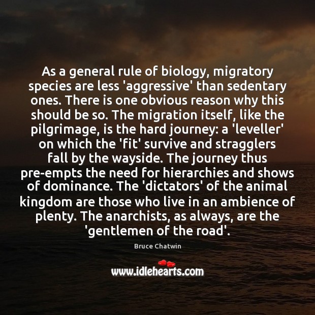 As a general rule of biology, migratory species are less ‘aggressive’ than Bruce Chatwin Picture Quote
