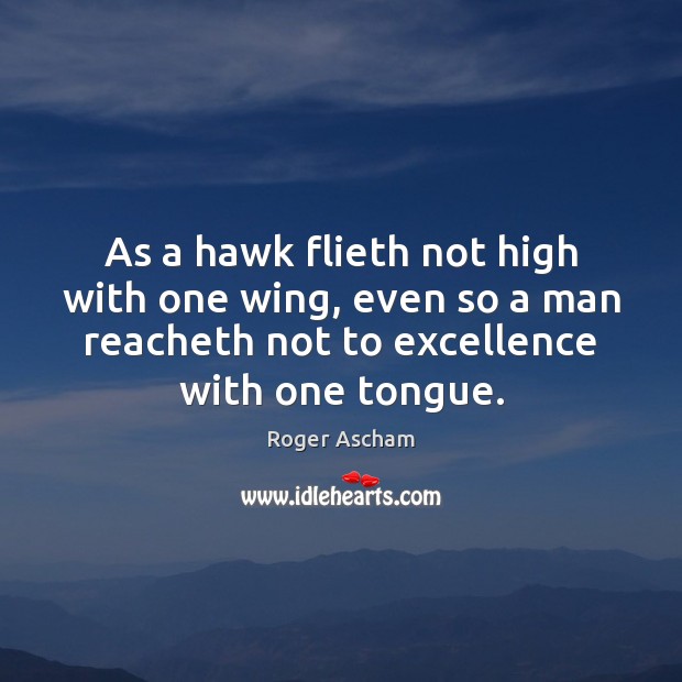 As a hawk flieth not high with one wing, even so a Roger Ascham Picture Quote
