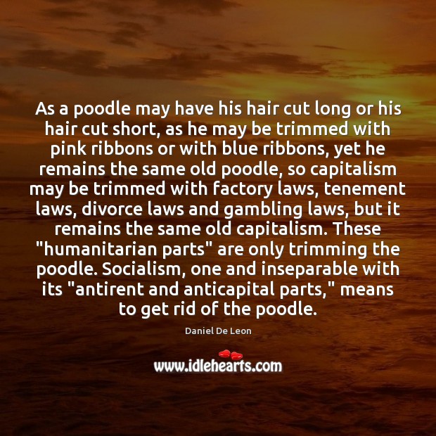 As a poodle may have his hair cut long or his hair Divorce Quotes Image