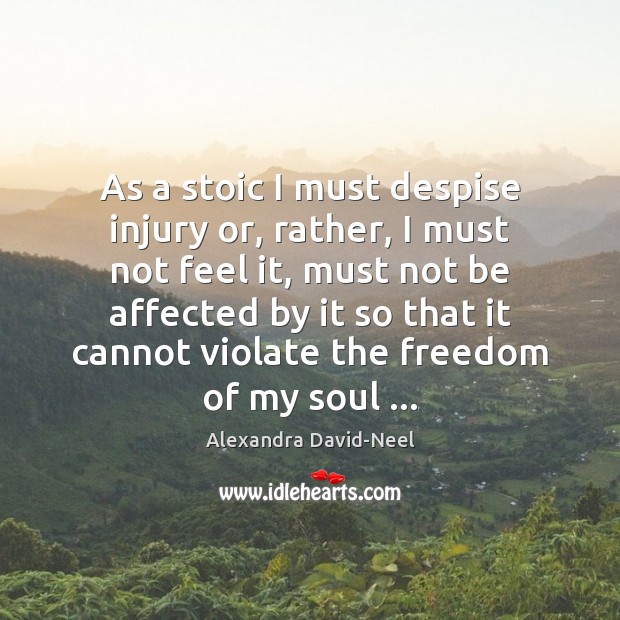 As a stoic I must despise injury or, rather, I must not Alexandra David-Neel Picture Quote
