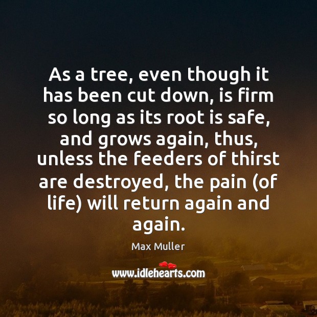 As a tree, even though it has been cut down, is firm Max Muller Picture Quote