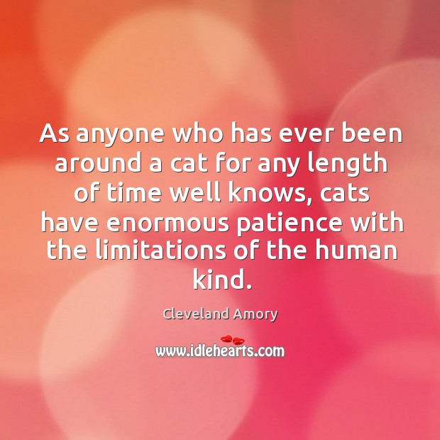 As anyone who has ever been around a cat for any length of time well knows Cleveland Amory Picture Quote