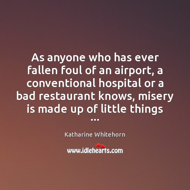 As anyone who has ever fallen foul of an airport, a conventional Katharine Whitehorn Picture Quote