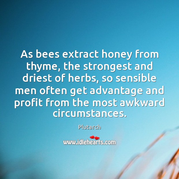 As bees extract honey from thyme, the strongest and driest of herbs, Plutarch Picture Quote