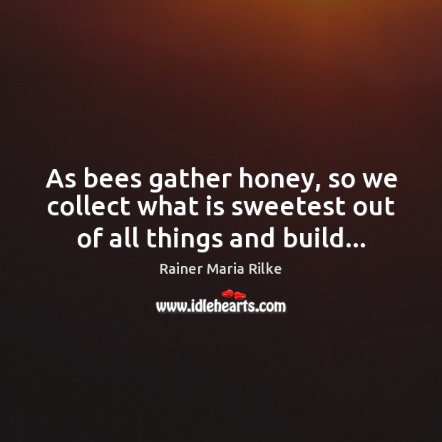 As bees gather honey, so we collect what is sweetest out of all things and build… Rainer Maria Rilke Picture Quote