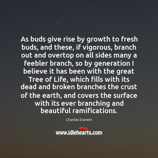As buds give rise by growth to fresh buds, and these, if Charles Darwin Picture Quote