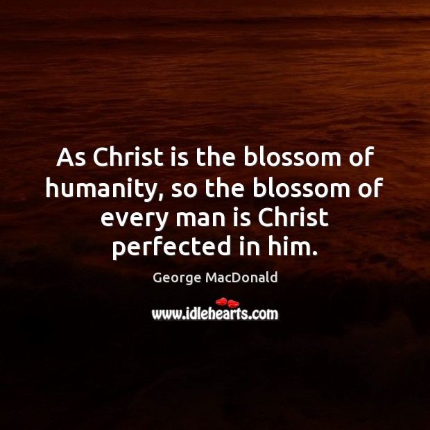 As Christ is the blossom of humanity, so the blossom of every George MacDonald Picture Quote