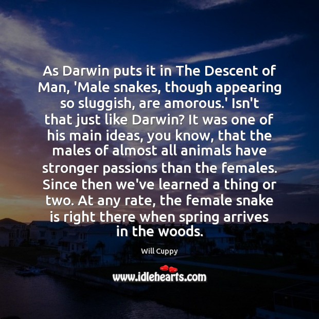 As Darwin puts it in The Descent of Man, ‘Male snakes, though Will Cuppy Picture Quote