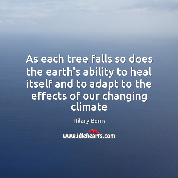 As each tree falls so does the earth’s ability to heal itself Image