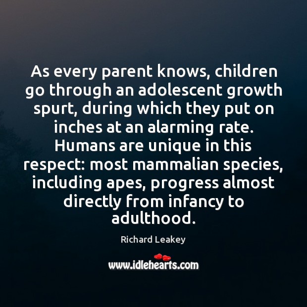 As every parent knows, children go through an adolescent growth spurt, during Richard Leakey Picture Quote
