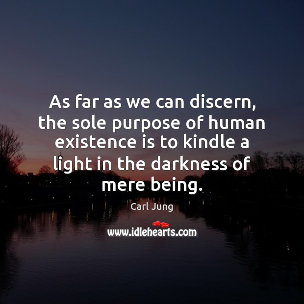 As far as we can discern, the sole purpose of human existence Carl Jung Picture Quote